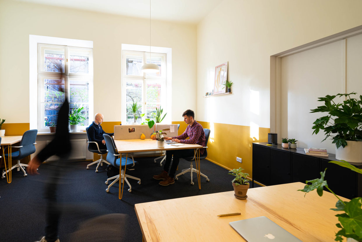Yolk community workspace with members collaborating